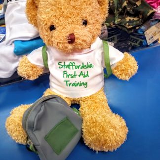 OFSTED Approved Blended Paediatric First Aid